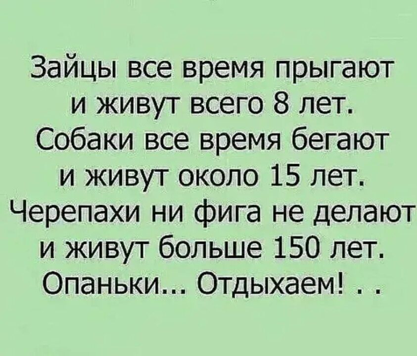 Зайцы все время прыгают и живут всего 8 лет Собаки все время бегают и живут около 15 лет Черепахи ни фига не делают и живут больше 150 лет Опаньки Отдыхаем