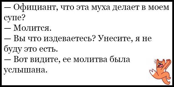 Официант что эта муха делает в моем супе Молится Вы что издеваетесь Унесите я не буду это есть 7 Вот видите ее молитва была УКЛЫШИНЦ