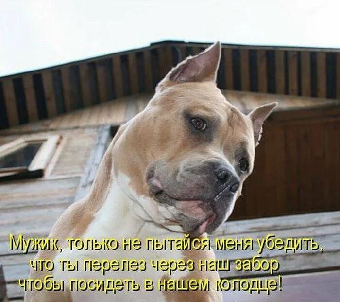 Ю ты пер Юбы гюсиде Го з