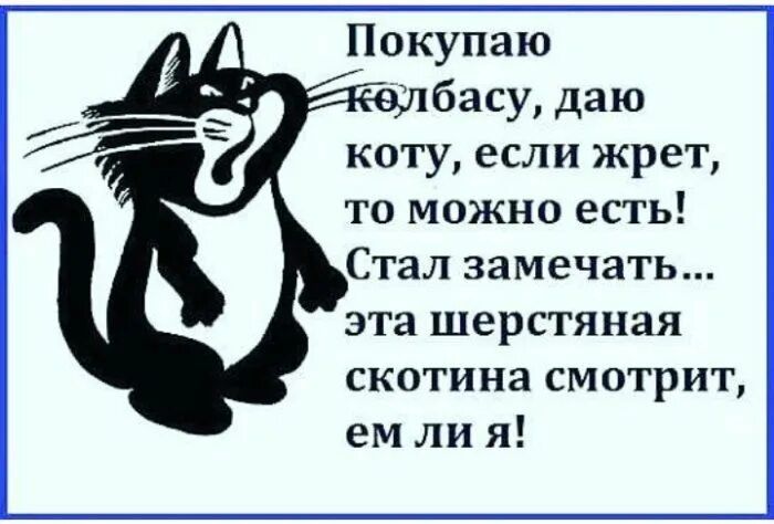 Покупаю басу даю коту если жрет то можно есть Стал замечать эта шерстяная скотина смотрит ем ли я