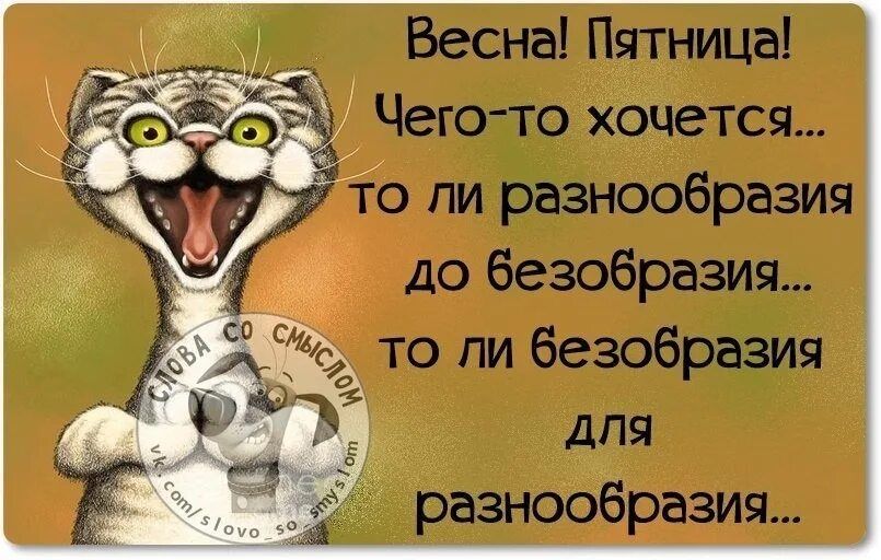 Весна Пятницы Чего то хочется то пи разнообразия до безобразия