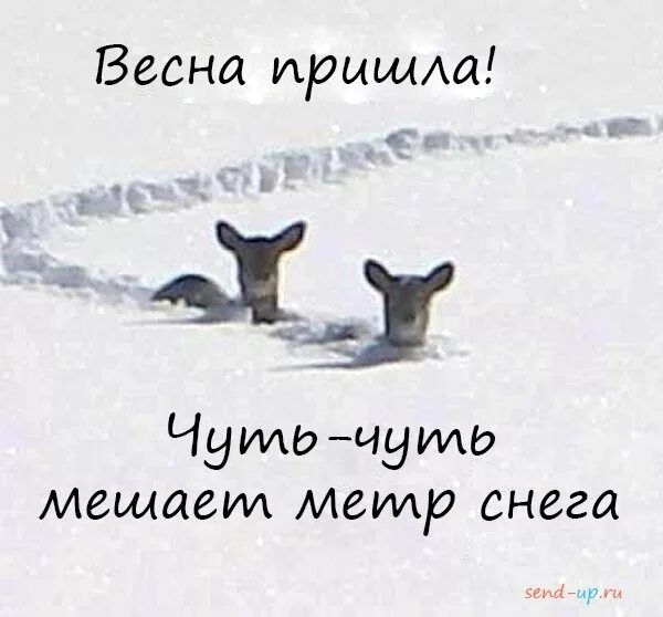 Весна пришш Чуимэ щутю мешает метр снега ч