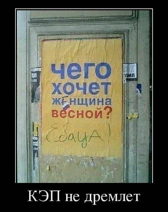 Т С Л М С р д С Н П Э К