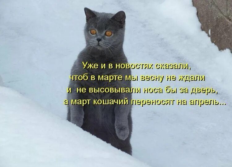 п нывасну на