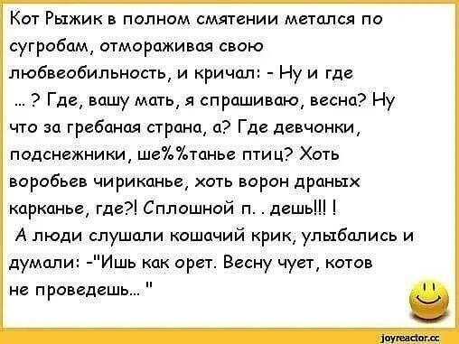 Кт Рыжик полном смятении метался по сугробам очмораживая свою пюбмобильноаь и кричал Ну и где Где вашу мать я спрашиваю весна Ну что за гребпноя страна и Где девчонки подвижники ше7 тень птиц Хоть воробьев чириешньв хть верси драных кормим гдг Сплашной п дашь А люди слушали кошачий крик улыбались и думали Ишь как орет Весну чует штоп не проведешь