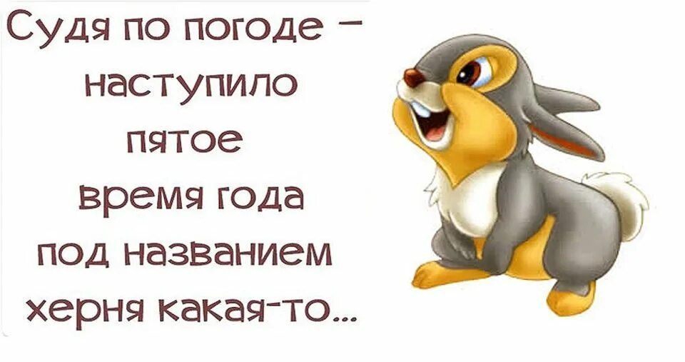 Судя по погоде наступило пятое время года под названием херня какая то