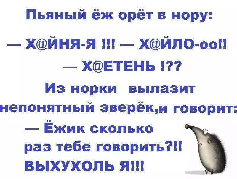 Пьяный ёж орёт в нору ХЙНЯ Я ХЙЛ0 оо ХЕТЕНЬ Из норки вылазит непонятный зверёкм говорит Ёжик сколько раз тебе говорить ВЬХУХОПЬ Я _