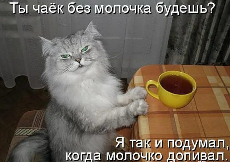 Ты чаёк беёійьітібчка Ёуде Щ Ь Я т и подумал ко 2 мопо о допивап