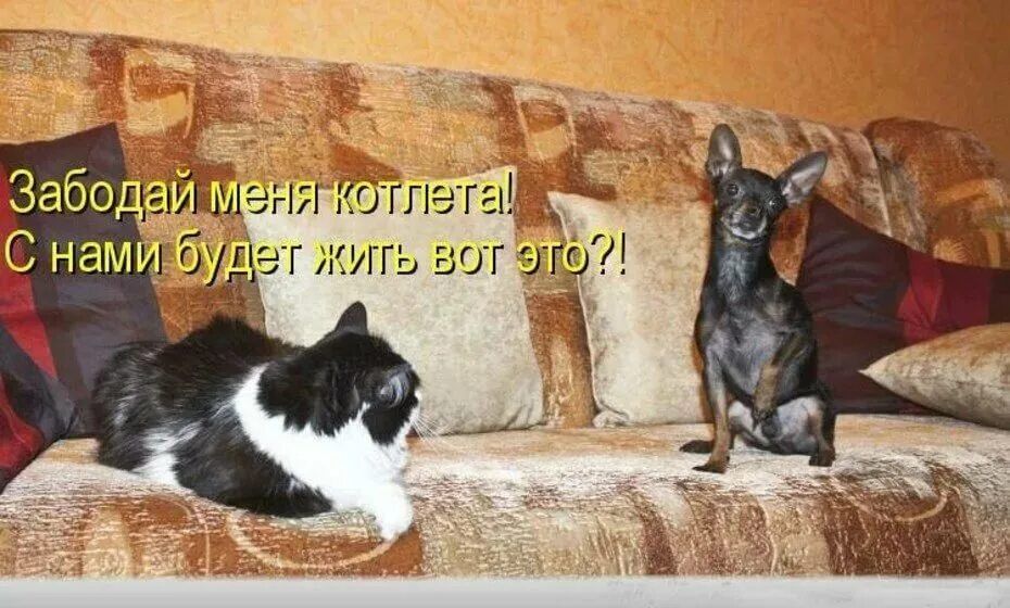 тыжпа ышшьУ