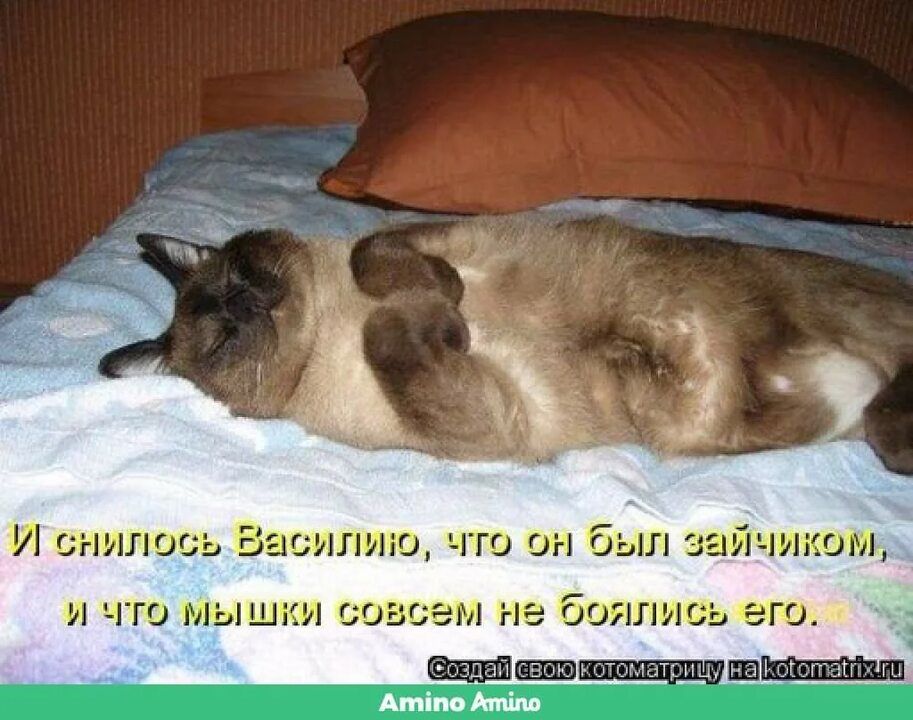 И ВНИПОСЬ БЕСПЛИЮ ЧТО ОН был ЗЕЙЧИКОМ И ЧТО мышки СОВСЕМ не бОЯПИОЬ его