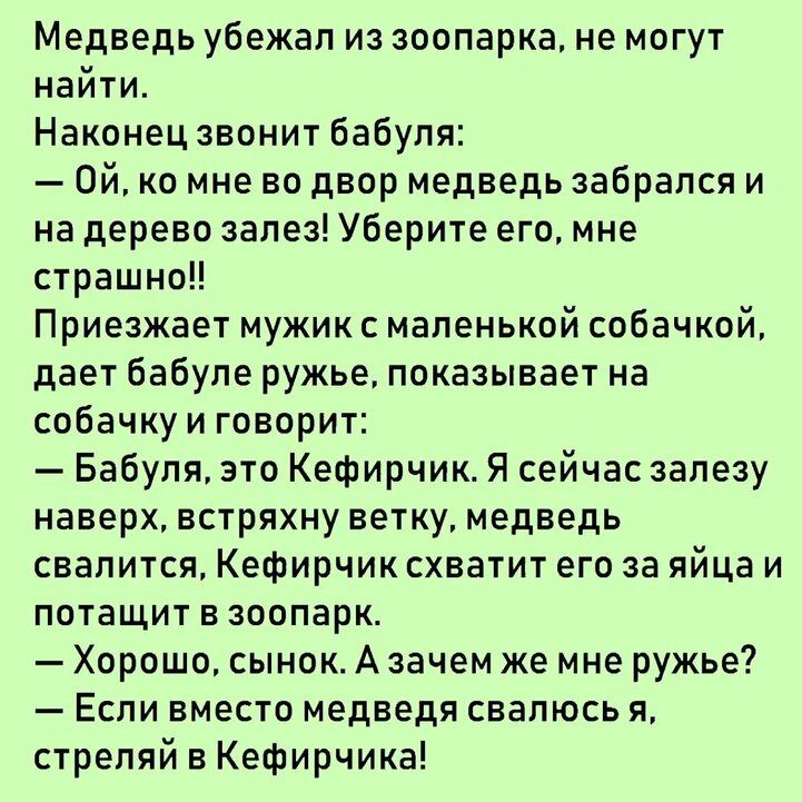 Медведь убежал из зоопарка не могут найти Наконец звонит бабуля Ой ко мне во двор медведь забрался и на дерево залез Уберите его мне страшно Приезжает мужик с маленькой собачкой дает бабупе ружье показывает на собачкуи говорит Бабуля это Кефирчик Я сейчас залезу наверх встряхну ветку медведь СВЕПИТСЯ КЕФИРЧИКСХВЕТИТ ЕГО за яйца И ПОТЗЩИТ ВЗООПЭРК Хорошо сынокА зачем же мне ружье Если вместо медвед