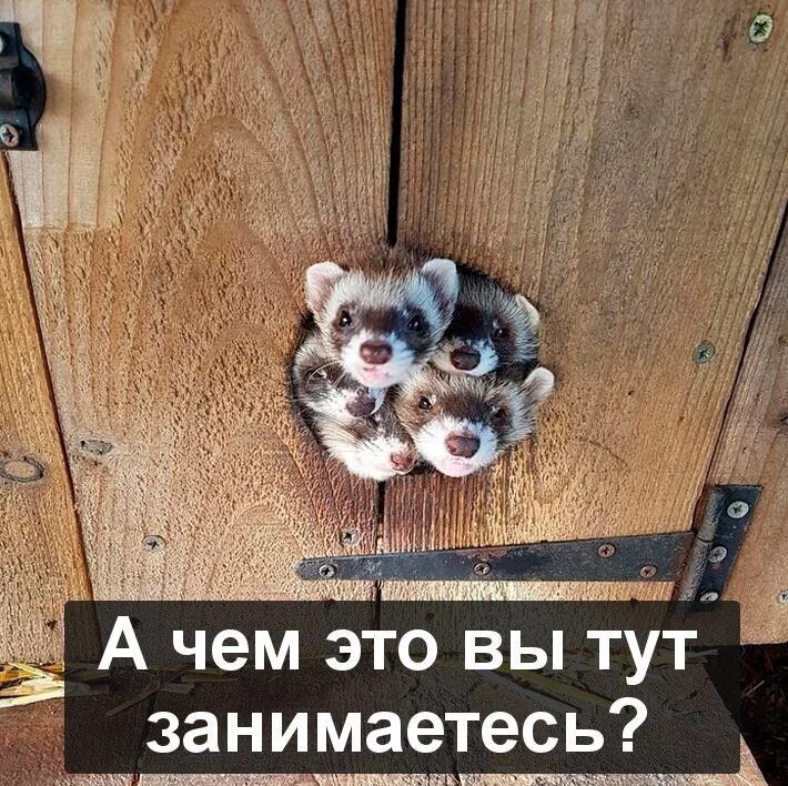 А чем это вы тут занимаетесь и_