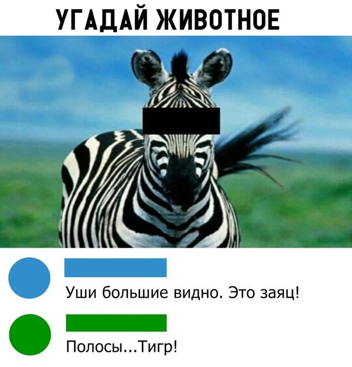 УГАДАЙ животное Уши большие видна Это заяц ПолосыТигр