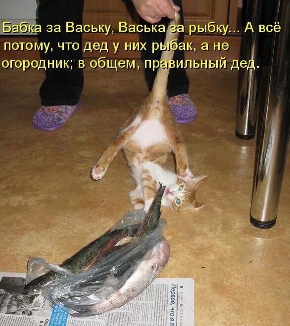 за Ваську Васьк рыбку А всё потому что дед у них р зак а не