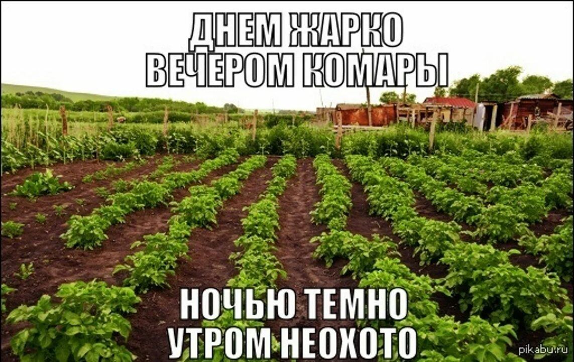 ЦН ПЕЧЕРППЛ НМБШЫ _ _ и НПЧЬЮ ТЕМНО ПРПМ НЕШШП