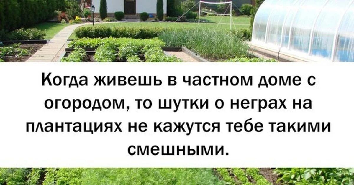 Когда живешь в частном доме с огородом то шутки о неграх на плантациях не кажутся тебе такими смешными