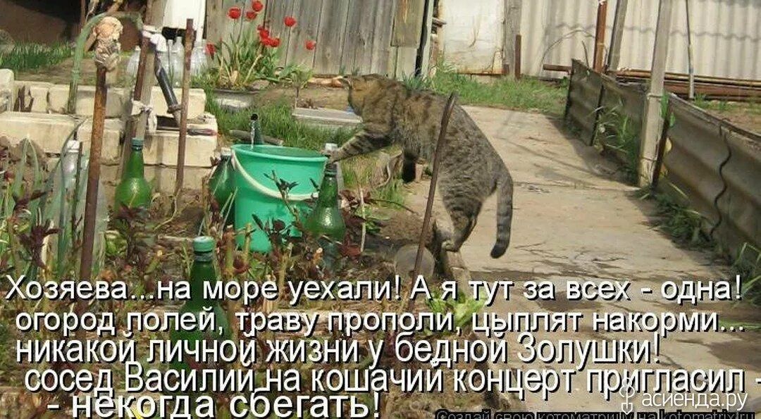 Хозяин на мир уехапиібАд спаде патчей Р никак ВИЧНОИ РЖИЗНИ ЮСБ СИПИ а КО ЧИИД да С еГЗТЬ