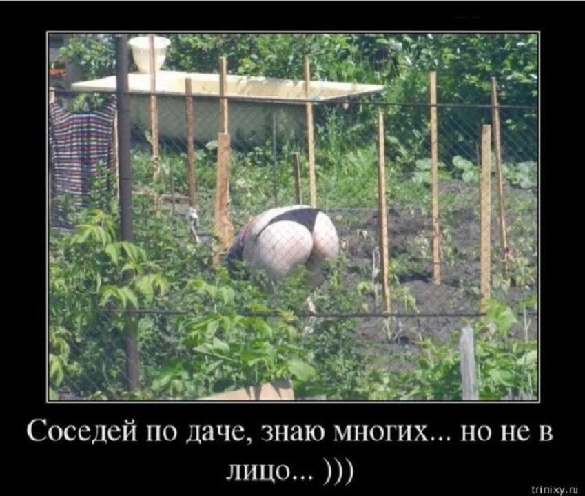 Соседей по даче знаю многих но не в лицо