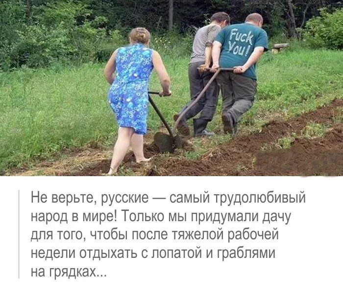 Не верьте русские самый трудолюбивый народ в мире Толь и мы придумали дачу для того чтобы после тяжелой рабочей недели отдыхать с лопатой и граблями на грядка