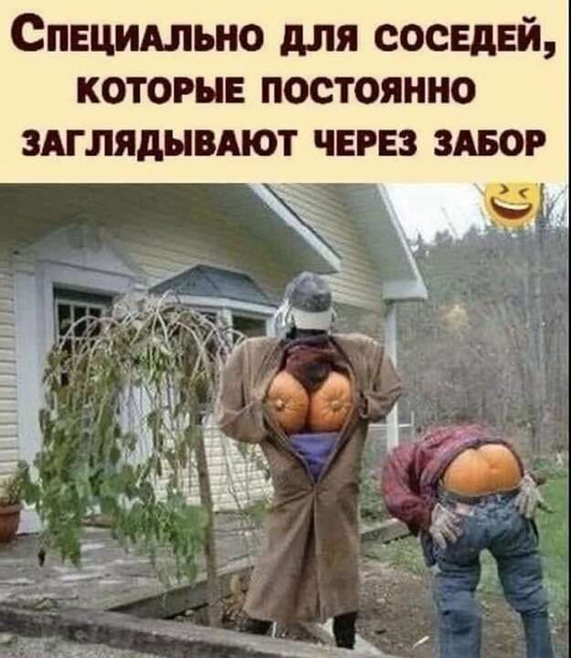 Спецшьно для сосвдвй КОТОРЫЕ постоянно ЗАГЛЯДНВАЮТ ЧЕРЕЗ ЗАБОР
