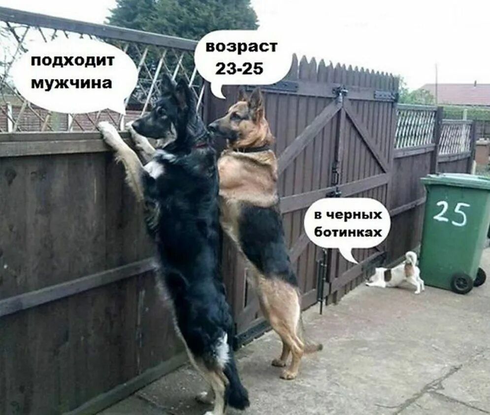 пвдхпдит мужчина 39