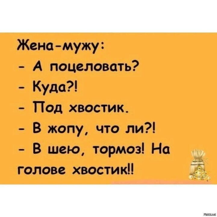 Женамужу А поцеловать Куда Под хвостик В жопу что ли В шею тормоз На голове хвостик