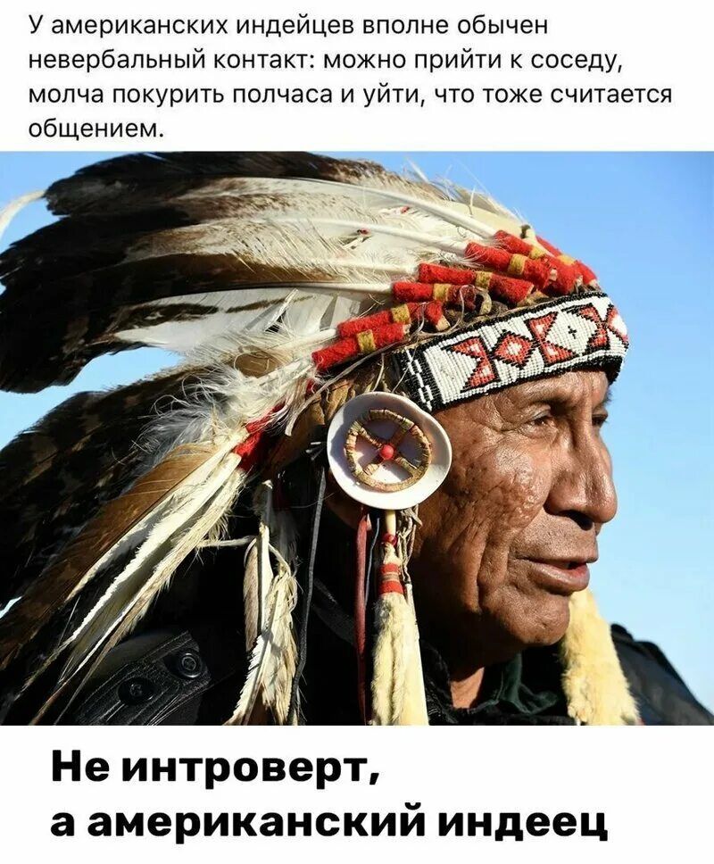 у американских индейцев вполне обычен невербальный контакт можно прийти соседу молча покурить полчаса и уйти что тоже считается общением Не интроверт а американский индеец