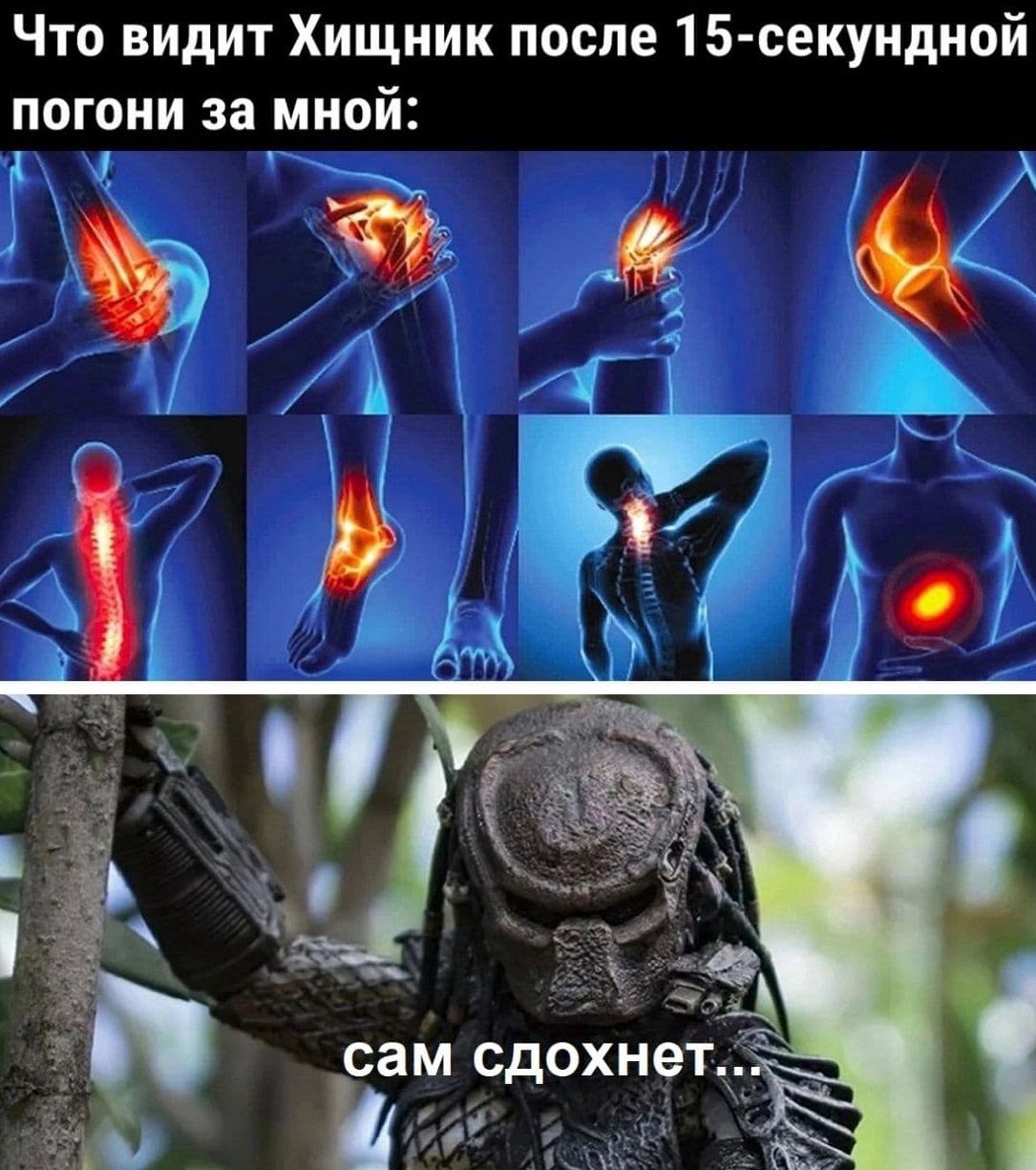Что видит Хищник после 15 секуидной погони за мной