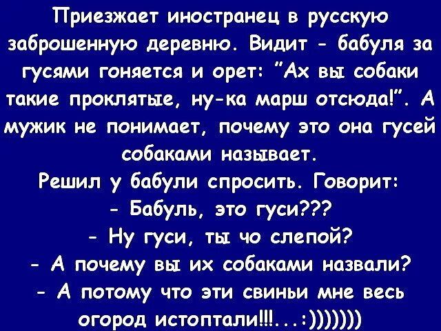 Приезжает иностранец в русскую заброшенную дврсвию Видит бабуля за гусями гоняется и орет Ах вы собаки такие проклягьи иу кп марш отсюдоі А мужик не понимает почему это оно гусей собаками называет Решил у бабули спросит Говорит Бабуль эго гуси Ну гуси ты чо слапой А почему вы их собаками назвали А погому что зги свиньи мн весь огород истопталиі