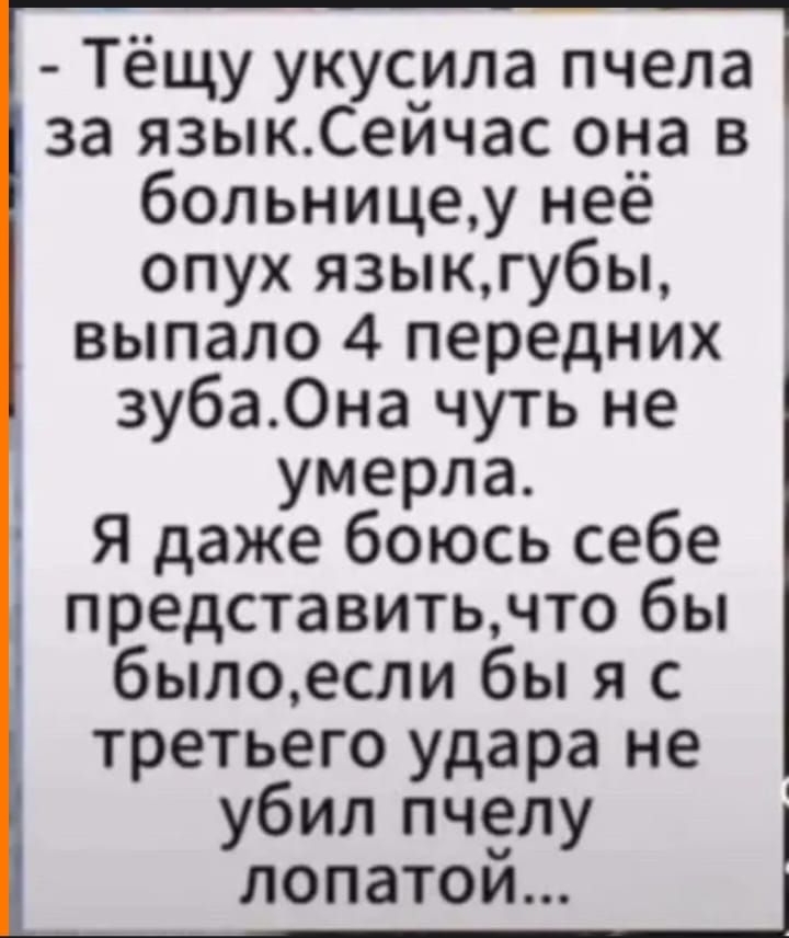 1429 дашь 5 Лента дмитрий Раззомазов Блек 37123 іі Вт Тёщу укусила пчела за языкСейчас она в больницеу неё опух языкгу6ы выпало 4 передних зуба0на чуть не умерла Я даже боюсь себе представитьчто бы былоесли бы я с третьего удара не убил пчелу лопатой Одо дп 45715 5 0 Э