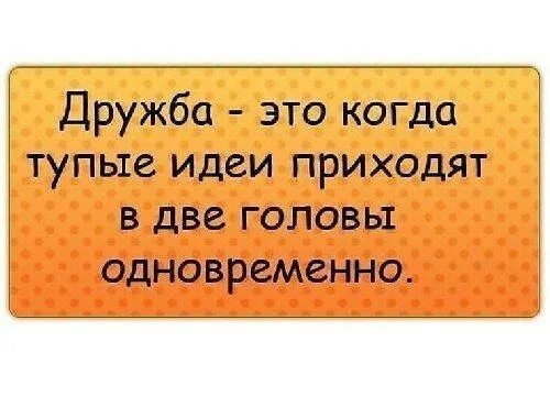 Дружба это когда тупые идеи приходят в две головы одновременно