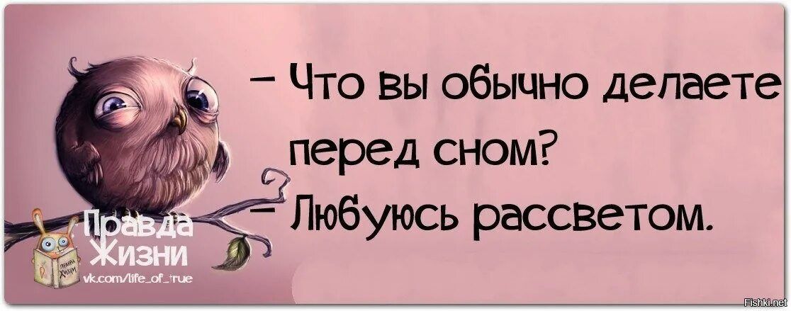 Что Вы обычно делаете перед сном Любуюсь рассветом