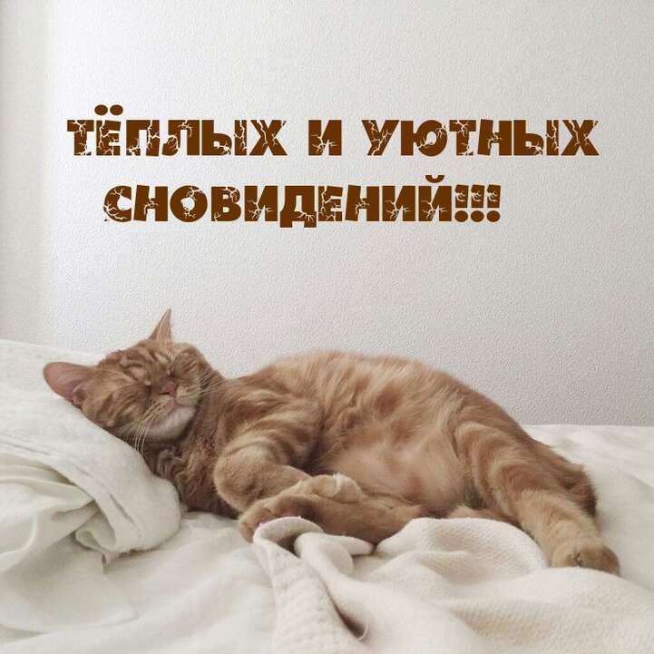 тёплых и уютных сновиднний