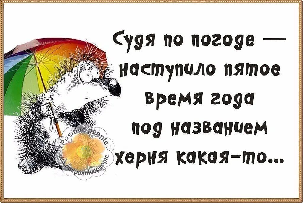 Судя по погозе наступило пятое время года пса названием