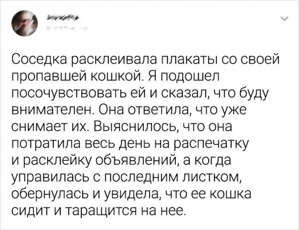 еп и Соседка расклеивапа плакаты со своей пропавшей кошкой Я подошел посочувствовать ей и сказал что буду внимателен Она ответила что уже снимает их Выяснилось что она потратила весь день на распечатку и расклейку объявлений а когда управипась с последним листком обернулась и увидела что ее кошка сидит и таращится на нее