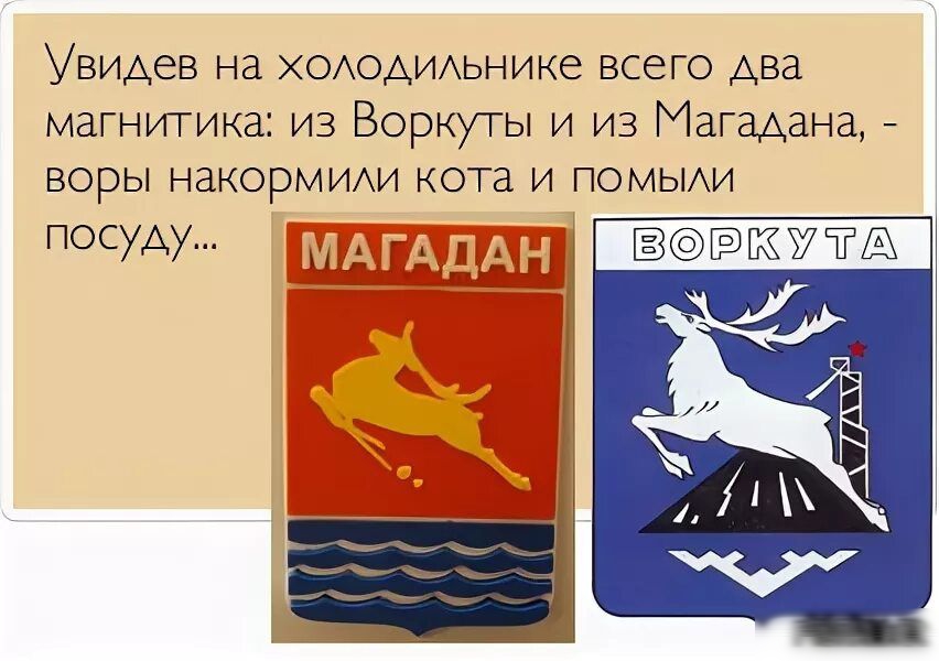 Увидев на ХОАОАИАЬНИКЕ всего два МЗГНУПИКЗ ИЗ ВОРКУТЫ И ИЗ МБГМЗНЗ воры НаКОРМИАИ кота и помьии посуду