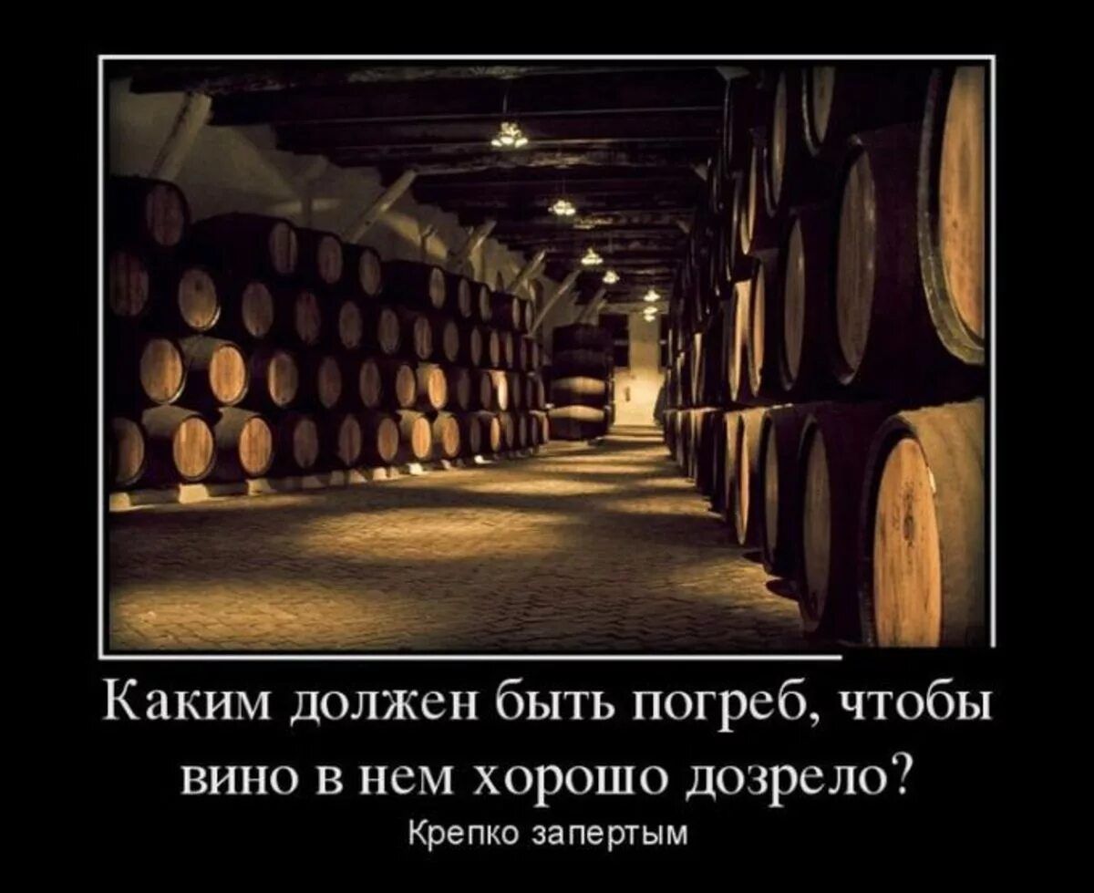 Какши дплжен быть погреб чтобы вино в нем хорошо дозрело крепка вамшым