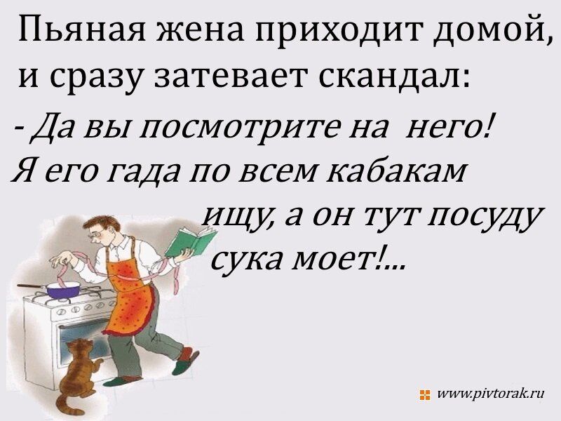 Пьяная жена приходит домой и сразу затевает скандал Да вы посмотрите На него Я его гадя по врем кабакам ИЩИ а он тут посуду сука моет шиншил