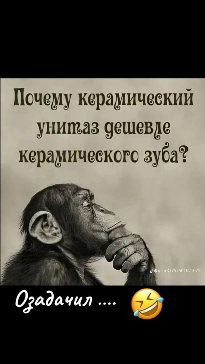 Почему керамический унитаз вешевме керамического зуба Одадачи 9