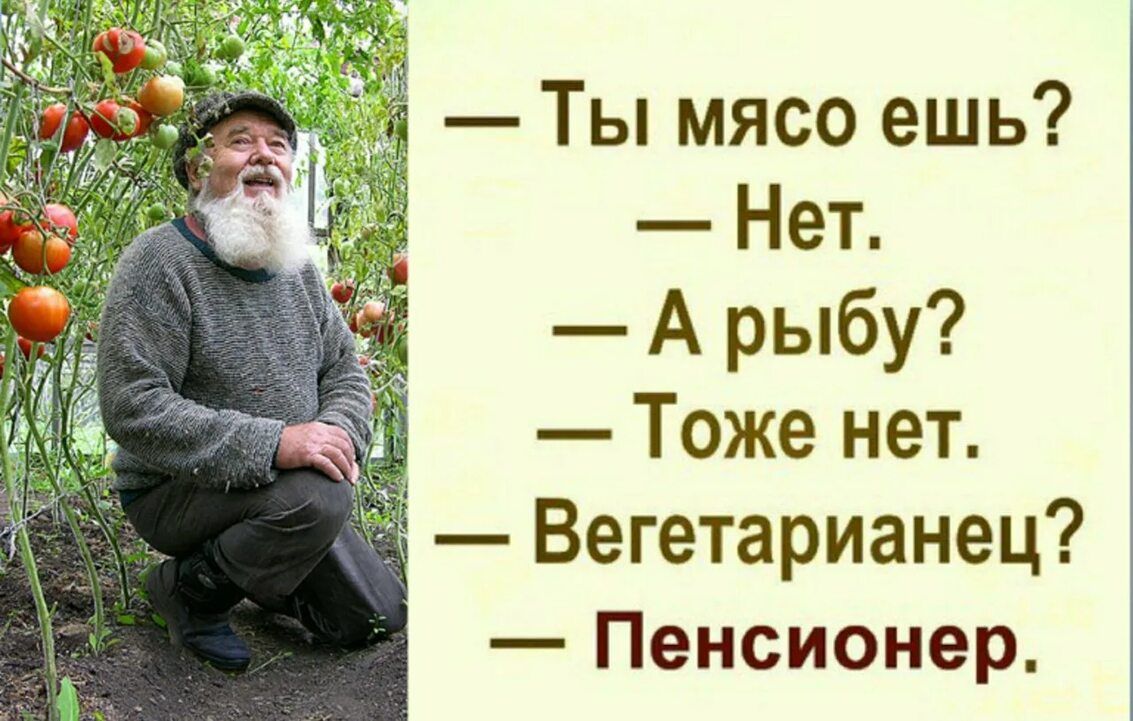 Ты мясо ешь Нет А рыбу Тоже нет Вегетарианец Пенсионер