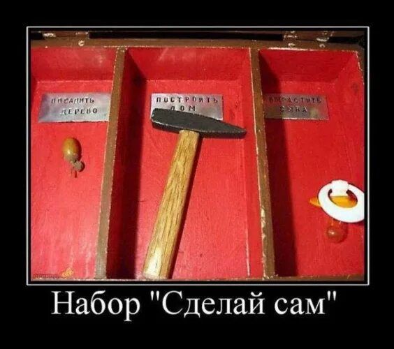 Набор Сделай дам