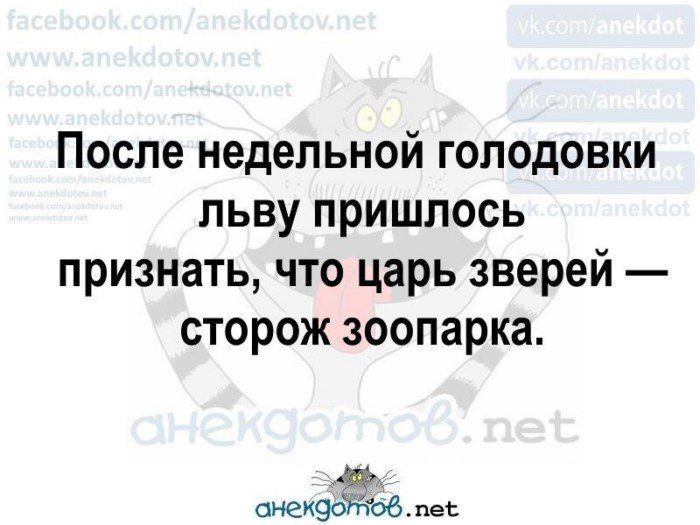 Поспе недельной голодовки льву пришлось признать что царь зверей сторож зоопарка аиекэоіпоб пе