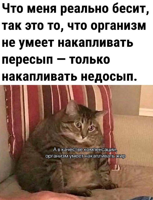 Что меня реально бесит так это то что организм не умеет накапливать пересып только 1 А качеынс компеншыии Оршиым умсш ташмыа ьжии