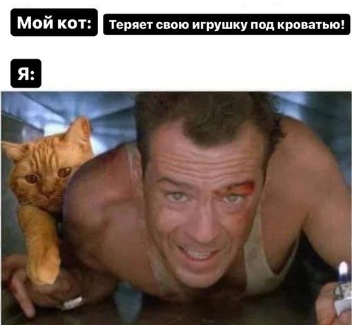 Мой кот Теряеу свою игрушку под кроватью