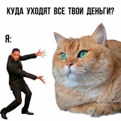 КУДА УХПЦПТ ВСЕ ТВВИ ЛЕНЬГИ