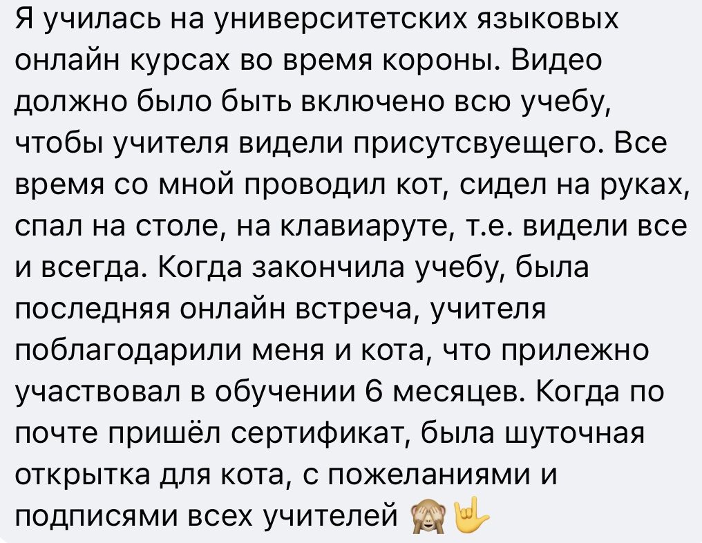 Я училась на университетских языковых онлайн курсах во время короньъ Видео должно было быть включено всю учебу чтобы учителя видели присутсвуещего Все время со мной проводил кот сидел на руках спал на столе на клавиаруте те видели все и всегда Когда закончила учебу была последняя онлайн встреча учителя поблагодарили меня и кота что прилежно участвовал в обучении 6 месяцев Когда по почте пришёл сер