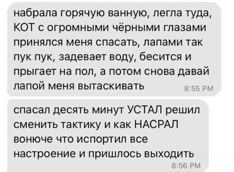 набрала горячую ванную легла туда КОТ с огромными чёрными глазами принялся меня спасать лапами так пук пук задевает воду бесится и прыгает на пол а потом снова давай папой меня вытаскивать спасал десять минут УСТАЛ решил сменить тактику и как НАСРАЛ вонюче что испортил все НЭСТРОЕНИЭ И ПРИШЛОСЬ ВЫХОДИТЬ _ и