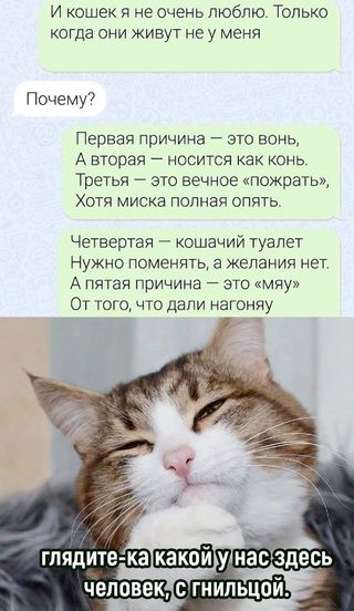 И КОШЕК Я не ОЧЕНЬ ПЮбПЮ ТОЛЬКО КОГДЭ ОНИ ЖИВУТ не у МЕНЯ ПочеМу7 Первая причина это вонь А вторая носится как конь Третья это вечное пожрать Хотя миска полная опять Четвертая кошачий туалет НУЖНО ПОМЕНЯТЬ ЖЕПЗНИЧ нет А ПЯТаЯ причина _ ЭТО Мяу От того что дали нагоняу