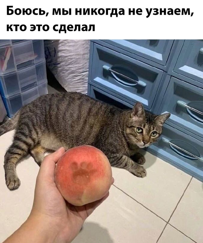 БОЮСЬ МЫ никогда не узнаем КТО ЭТО сделал