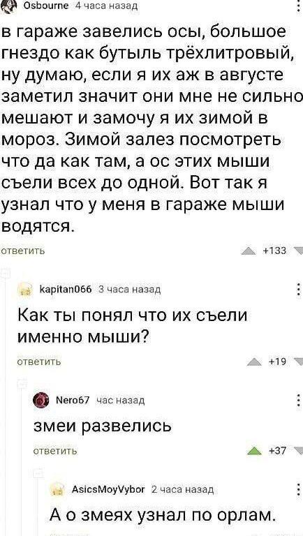 ОБЬпщпе Ачаса назад в гараже завелись осы большое гнездо как бутыль трёхлитровый ну думаю если я их аж в августе заметил значит они мне не сильно мешают и замочу я их зимой в мороз Зимой залез посмотреть что да как там а ос этих мыши съели всех до одной Вот так я узнал что у меня в гараже мыши водятсят ответить 133 Каримова 3 часа назад Как ты понял что их съели именно мыши ответить 19 Меты час на